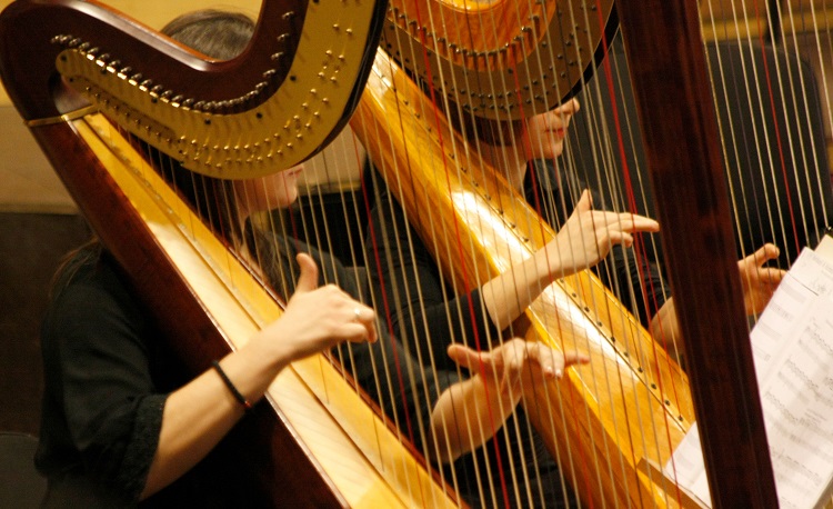 Harp lessons at Hindhead Music Centre